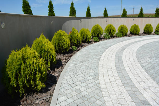 Best Local Driveway Pavers  in Elizabethtown, PA